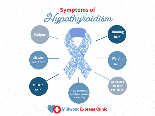 Thyroid Awareness Month – Hypothyroidism 101