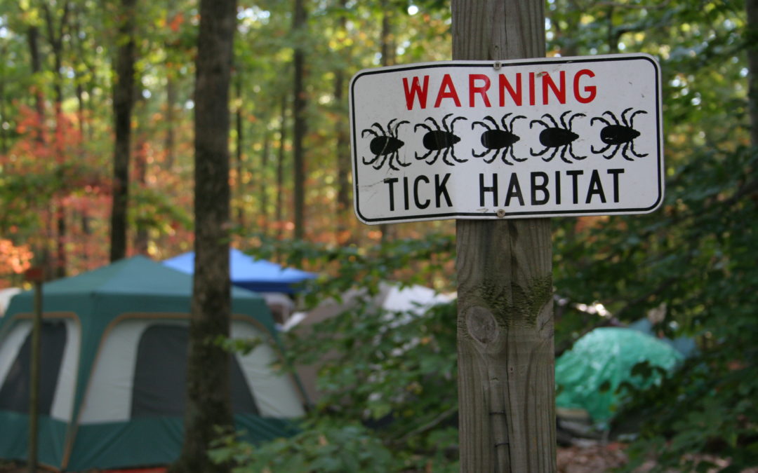 All About Ticks