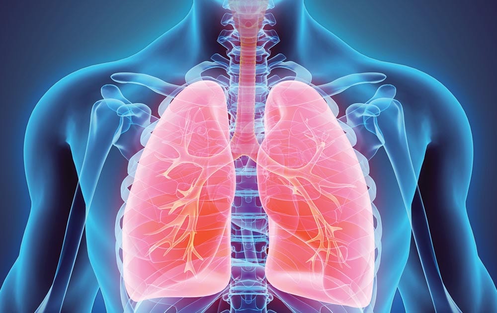 upper-respiratory-infection upper-respiratory-infection